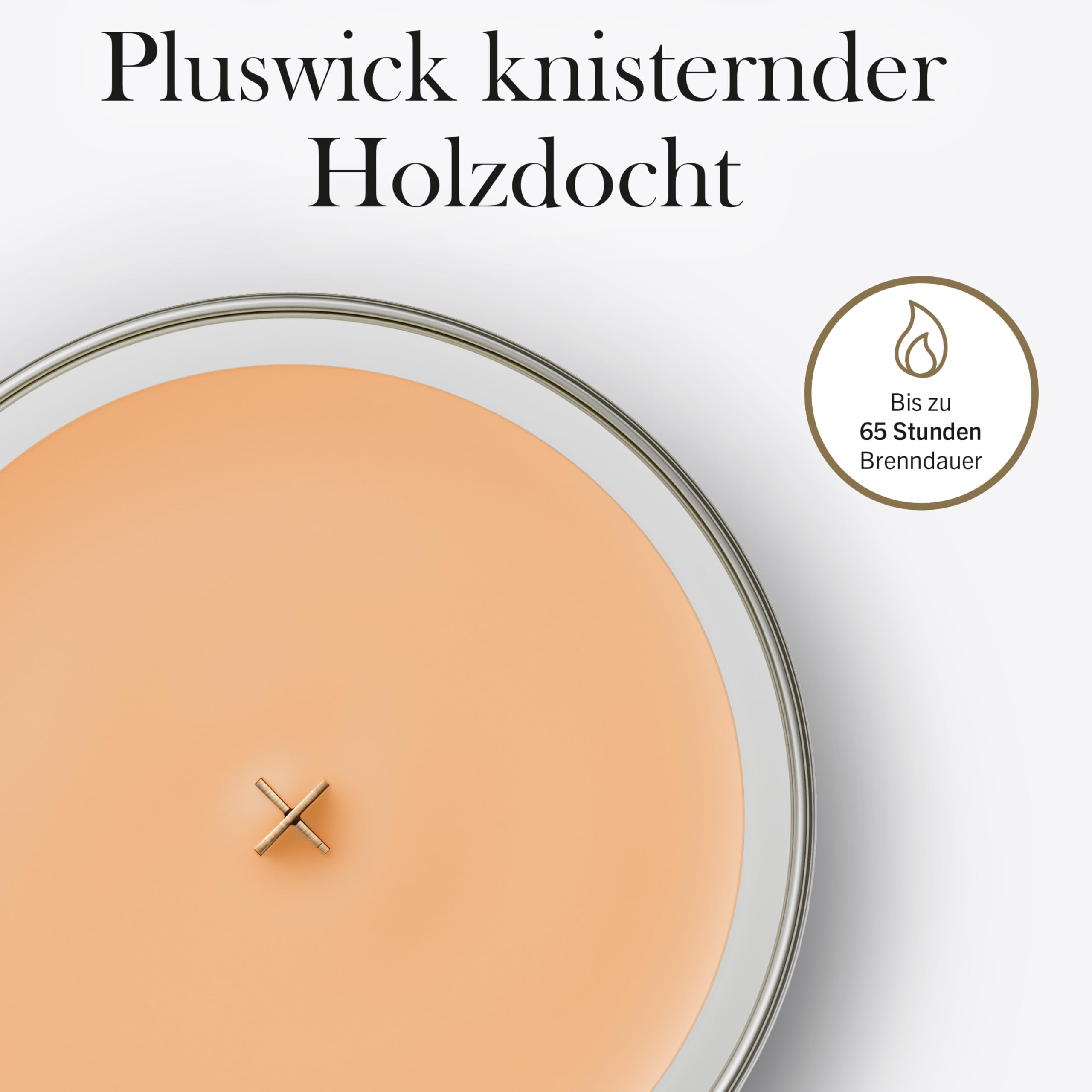 WoodWick Duftkerze | Mittlere Hourglass-Kerze | Tangerine & Citron | Perfekte Geschenke für Frauen