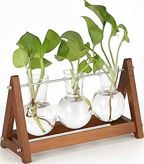 Plant Terrarium with Wooden Stand, 3 Bulb Glass Vase Metal Holder, Retro...
