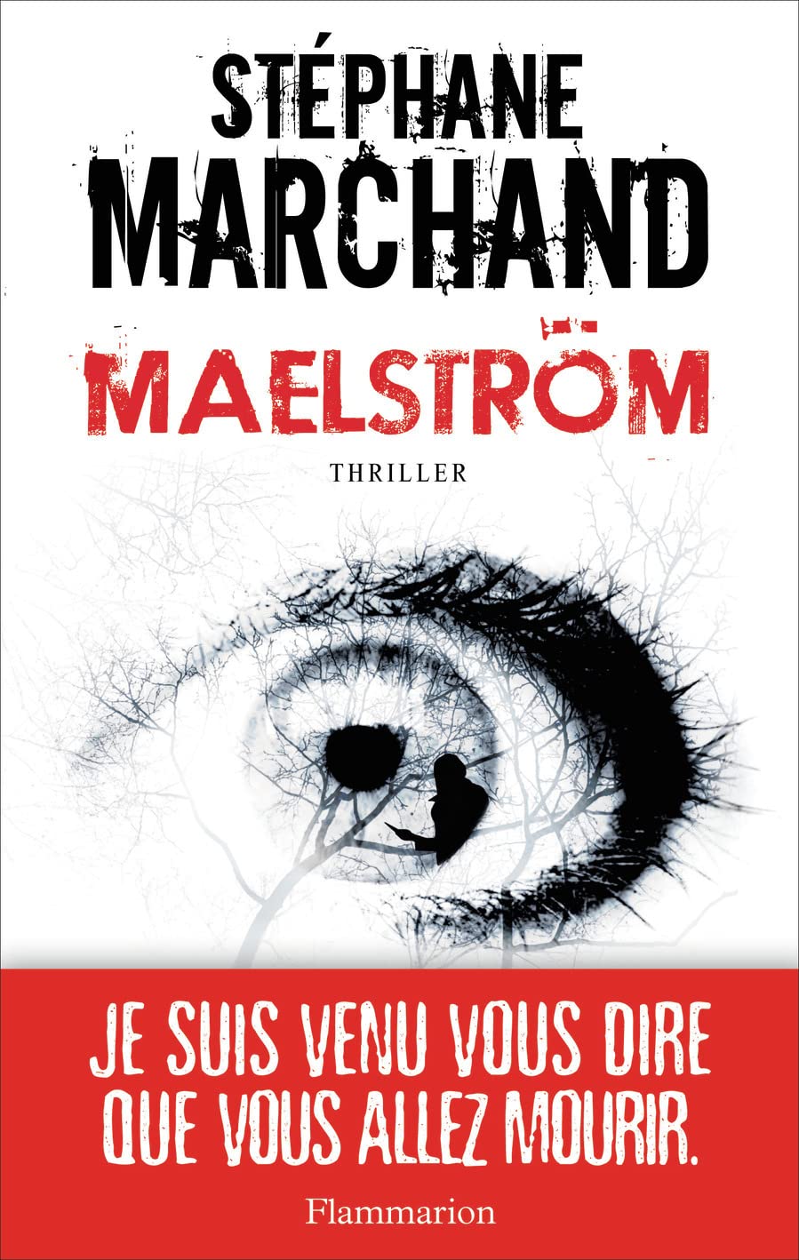 Buy Maelstrom — BookShops.in