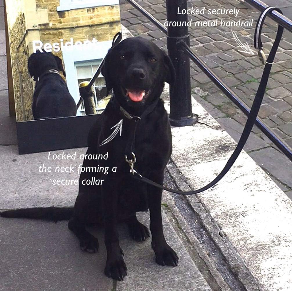 theft proof dog leash