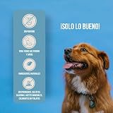 Ver la foto 3