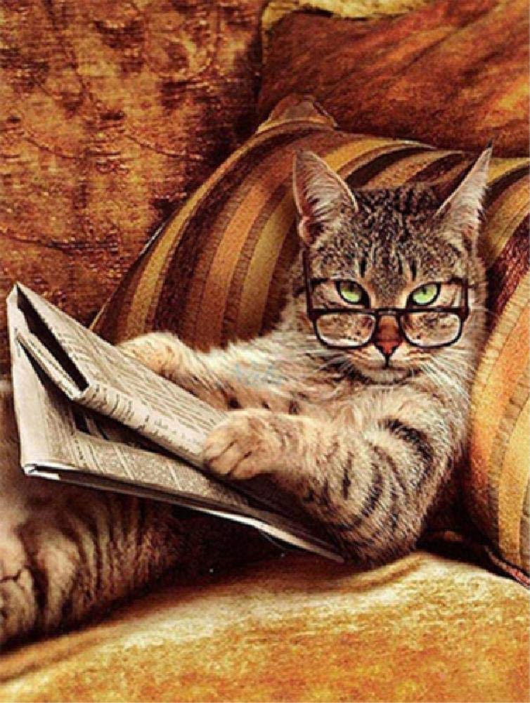 SHILIHOME Cat reading a newspaper DIY 5D Diamond Painting by Number unique Kits