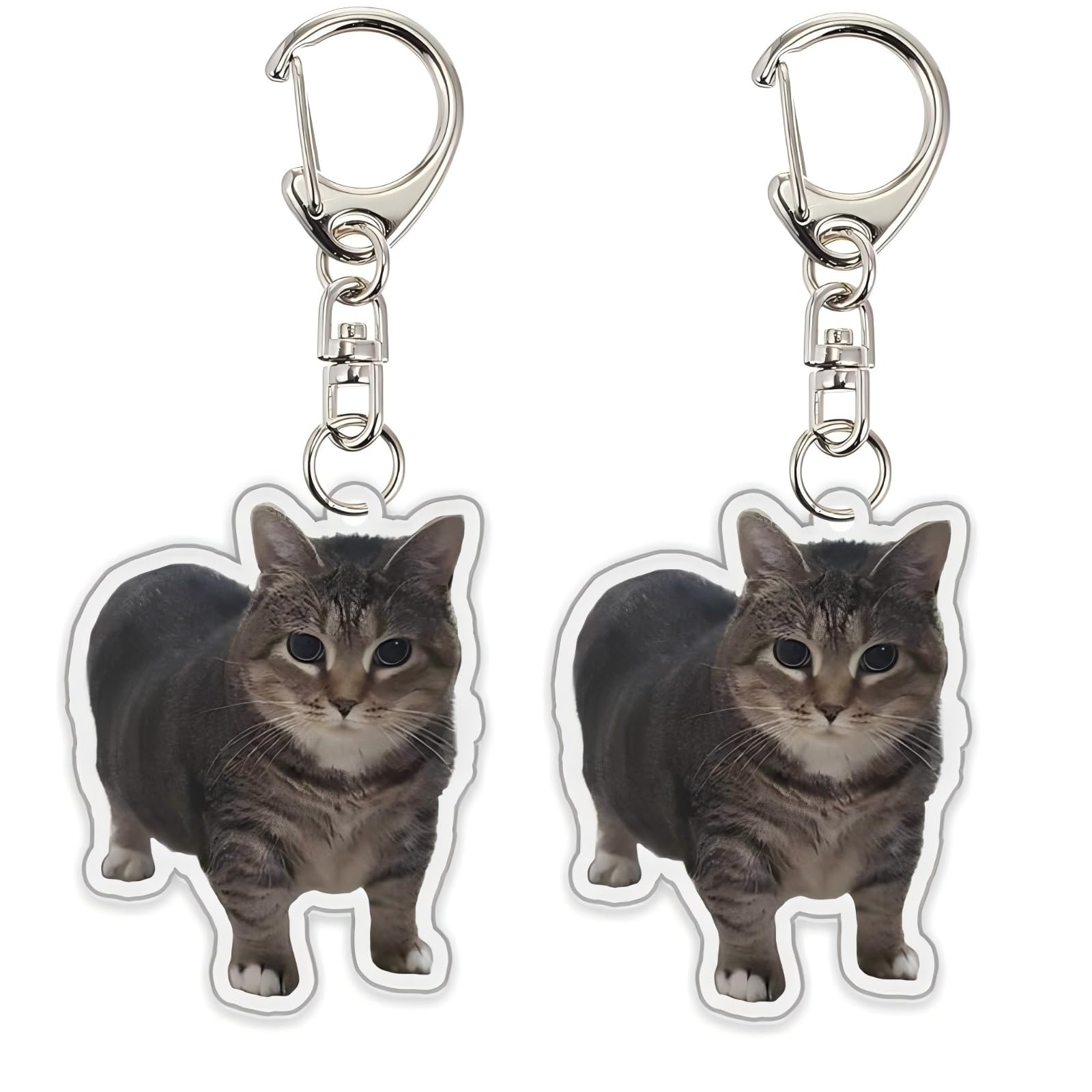 xueneige Funny Spinning Cat Keychain 2Pcs OIIAOIIA Cat Meme Keychain Kawaii Charm Pendant