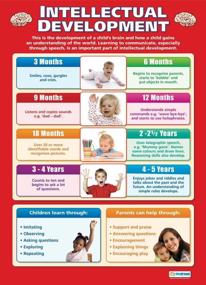 Intellectual Development Child Development Poster – Gloss Paper – 33” x 23.5” – Educational School and Classroom Posters