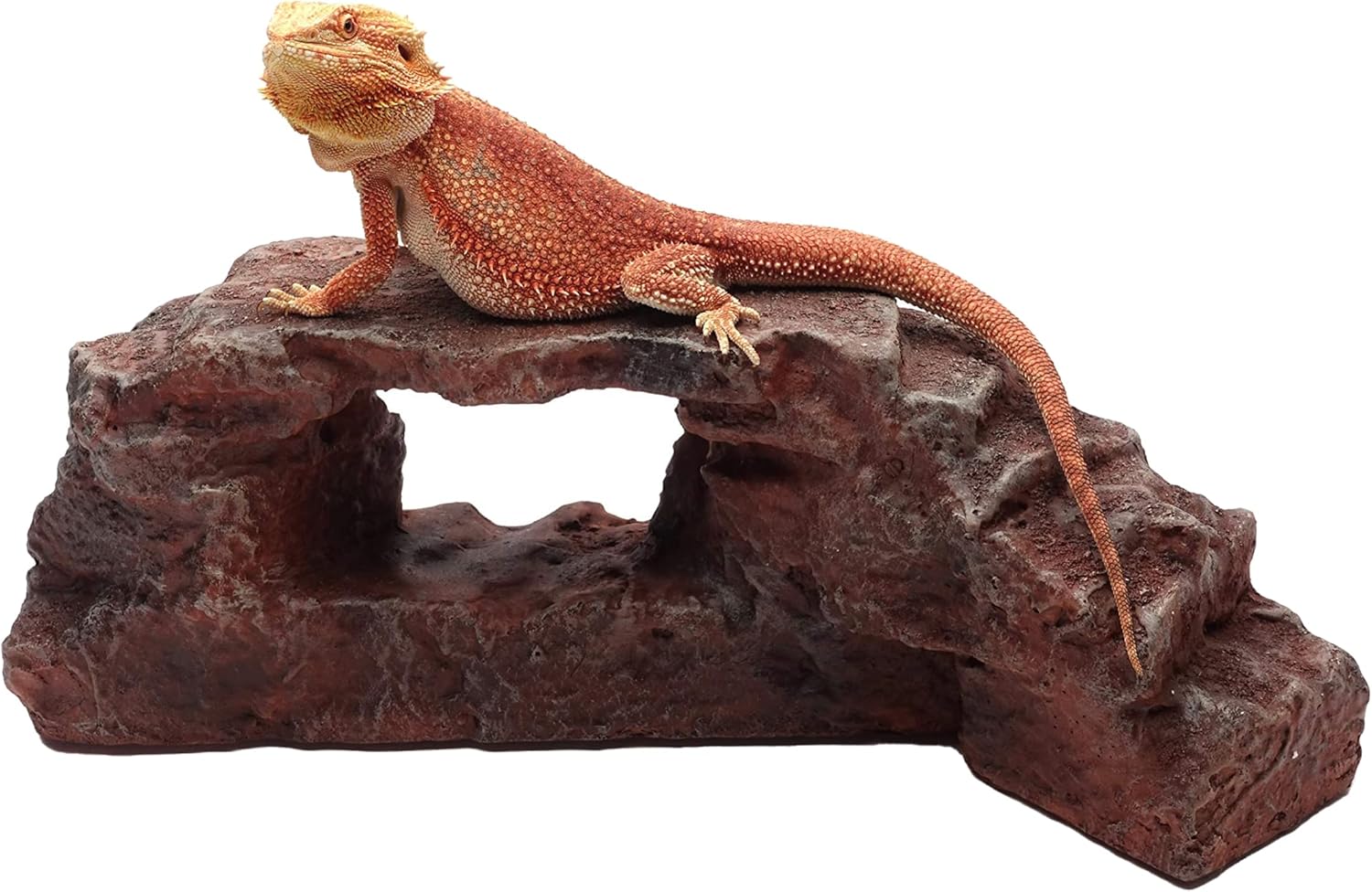 Rock Arch, Dark Maroon, Reptile Habitat Accessory