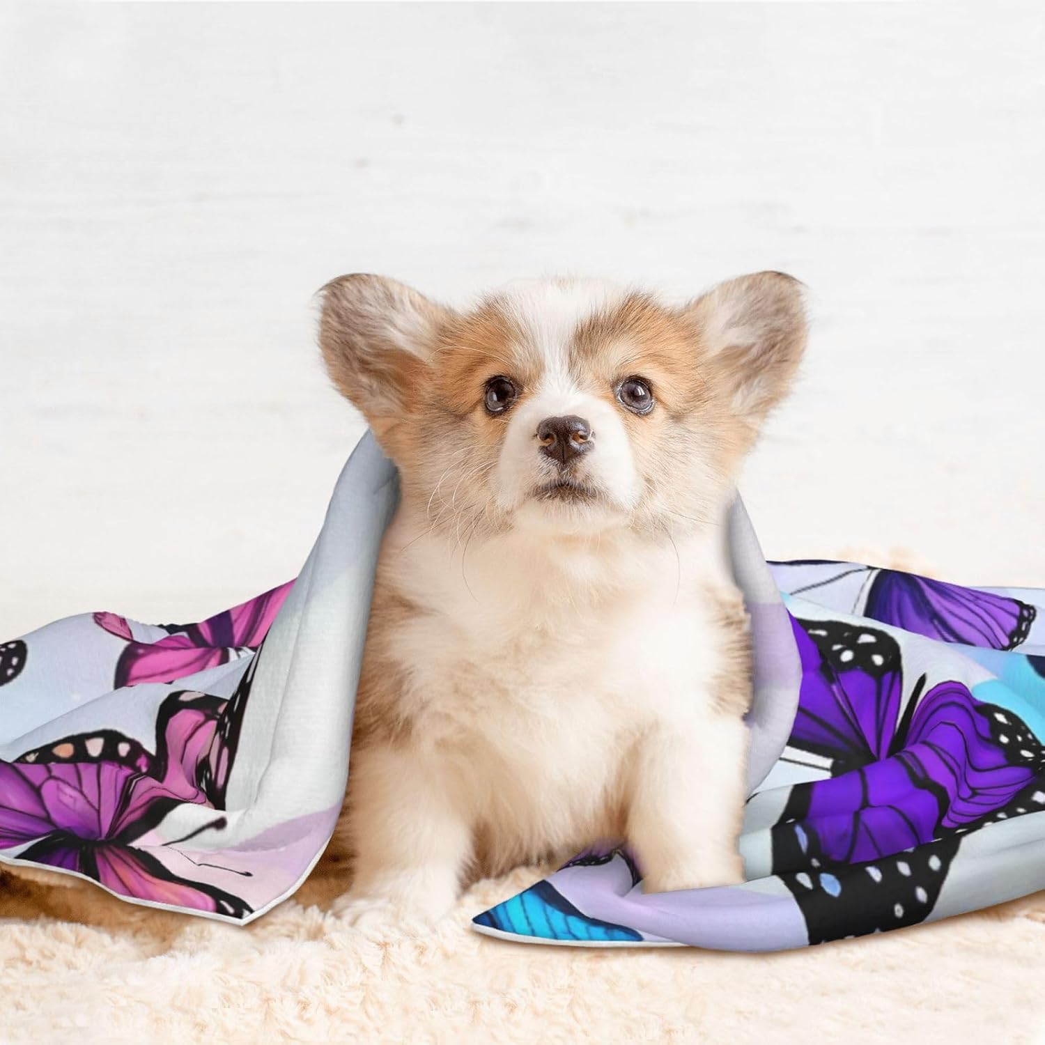 Flying Butterflies Print Soft Plush Pet Blanket, Washable Dog Blanket, Cat Fleece Throw, Puppy Bed Crate Mat & Sofa Couch Protector - Large