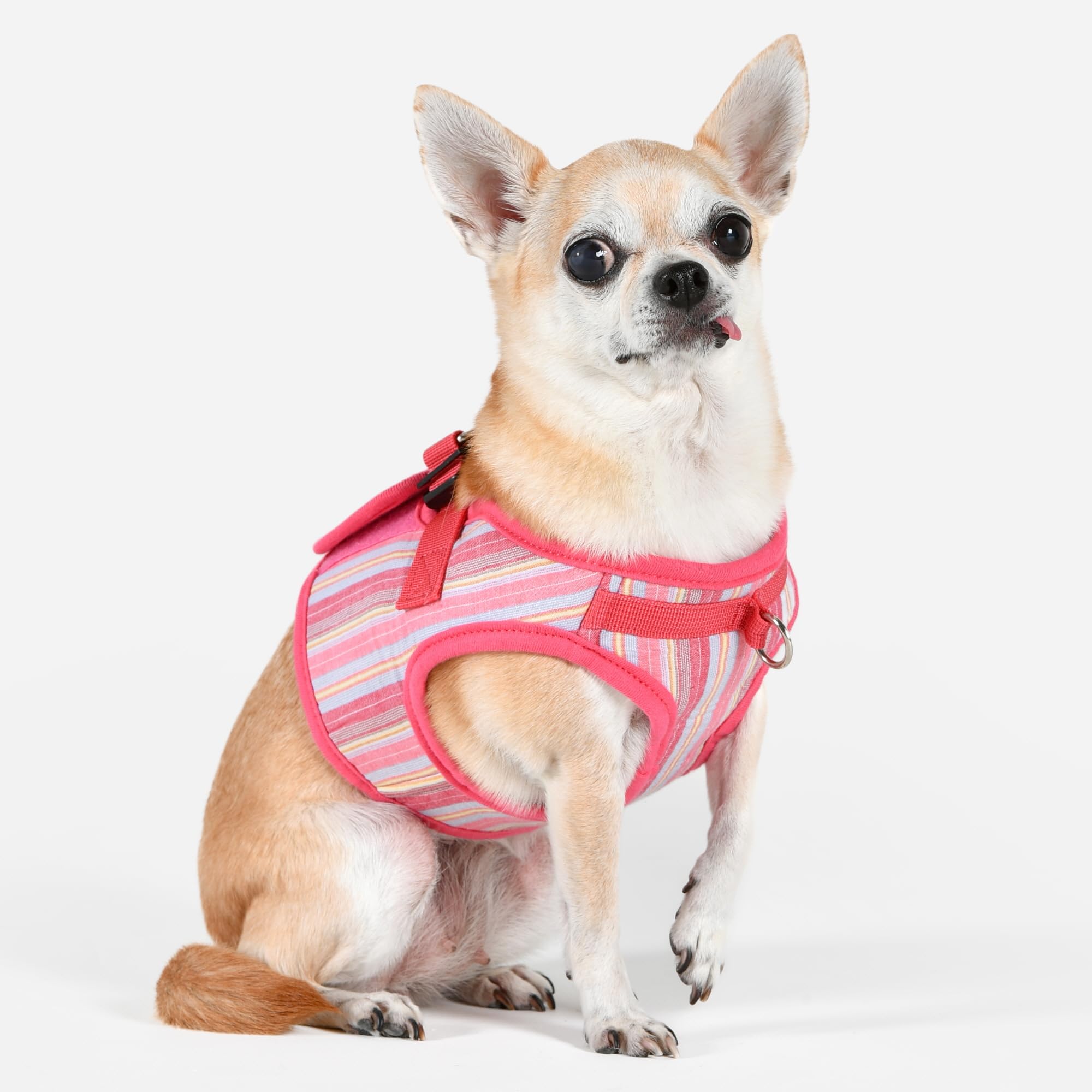 Puppia Theros - Arnés B de chaleco para perro, arnés de moda con patrón de rayas para primavera y verano, para perros pequeños y medianos, rosa, mediano