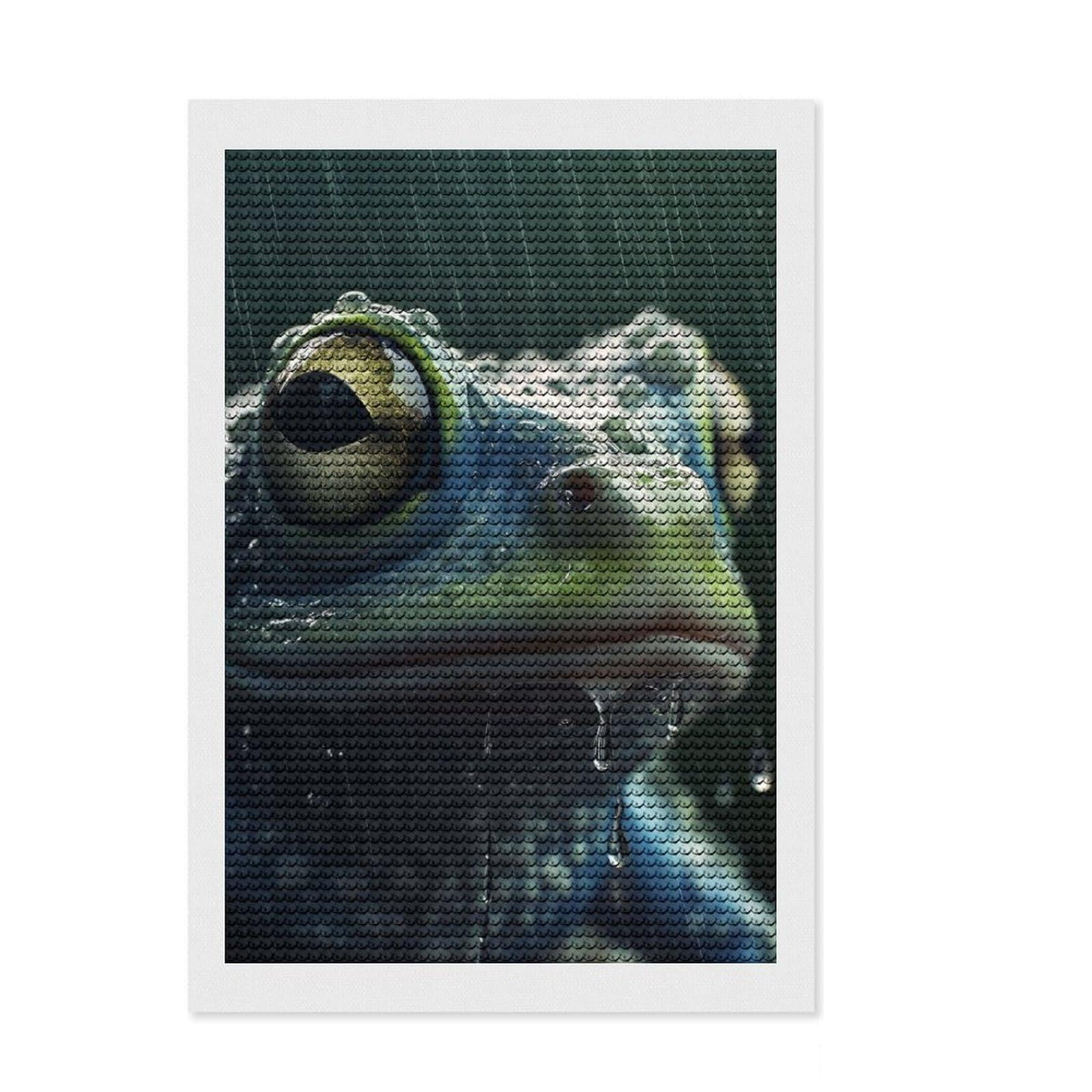 Junmoney Wet Frog Closeup Diamond Style Art Kit 8"x12", Winter Craft, Gift Idea, Farmhouse Decor, Thoughtful Present, Office Decor