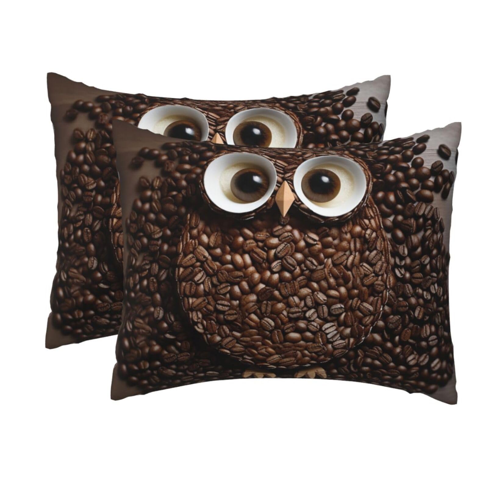 2 Pack Standard Pillow Cases with Hidden Zipper, Soft Breathable Pillow Covers for Hair and Skin, Coffee Bean owl Pillowcases 20"x26" Bed Pillow Protectors Cover for Sleeping Gifts