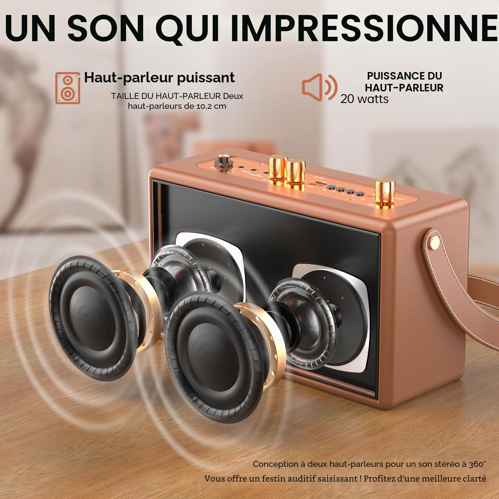 Machine de Karaoké avec 2 Microphones sans Fil pour Adultes Enfants,Karaoke Adulte Prise en Charge de l'extension Microphone à Quatre canaux,pour Les fêtes à la Maison, Les Cadeaux Vintage