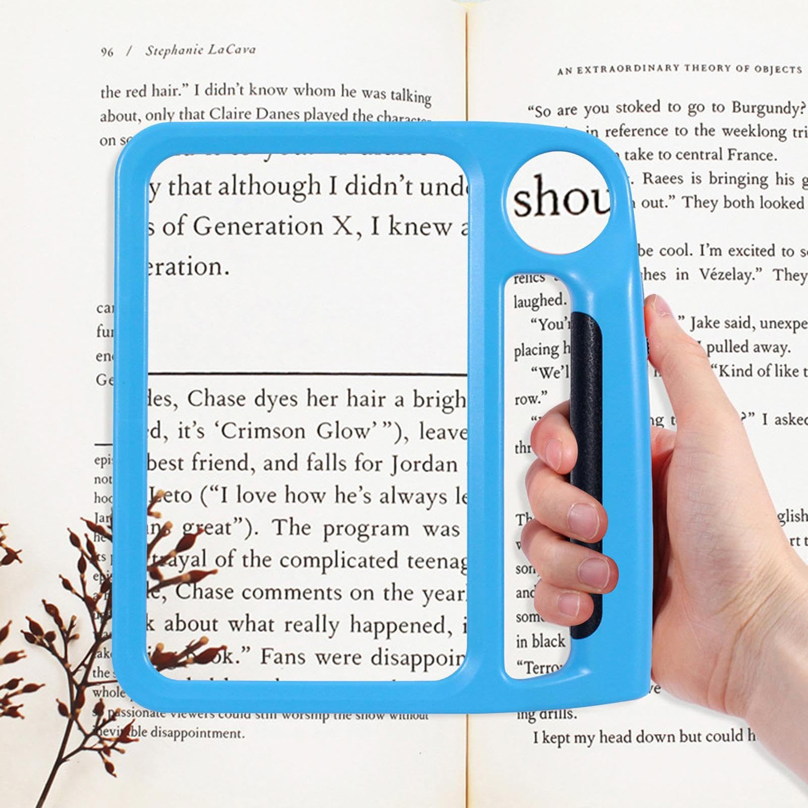 Luce per Lettura con Clip 5X 10X Ricaricabile Antiabbagliamento | Lampada da Lettura con Ingrandimento LED per Studenti Adulti Uomini Donne Anziani Viaggi Camera da Casa