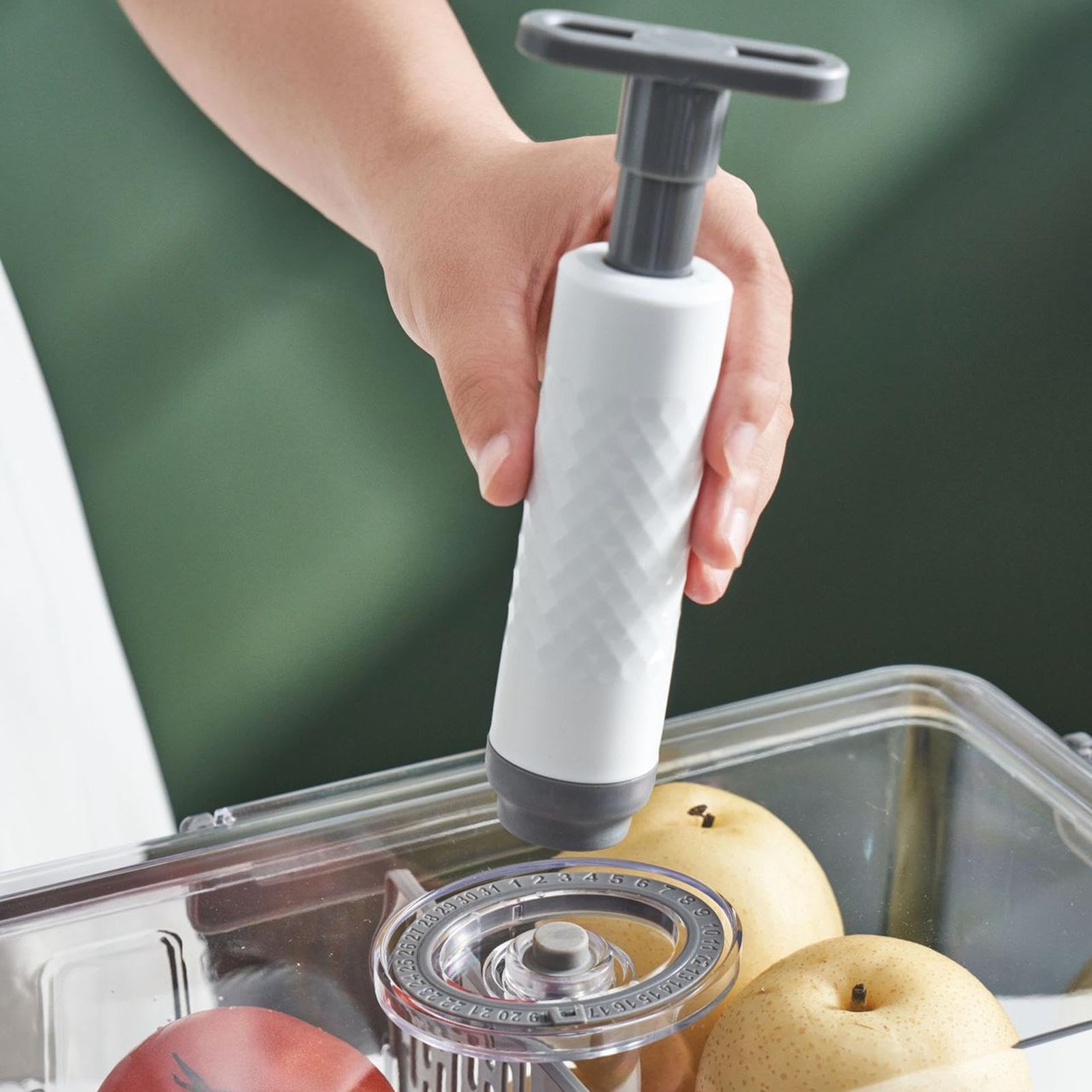 Contenitore per alimenti sottovuoto – Contenitore adatto al microonde