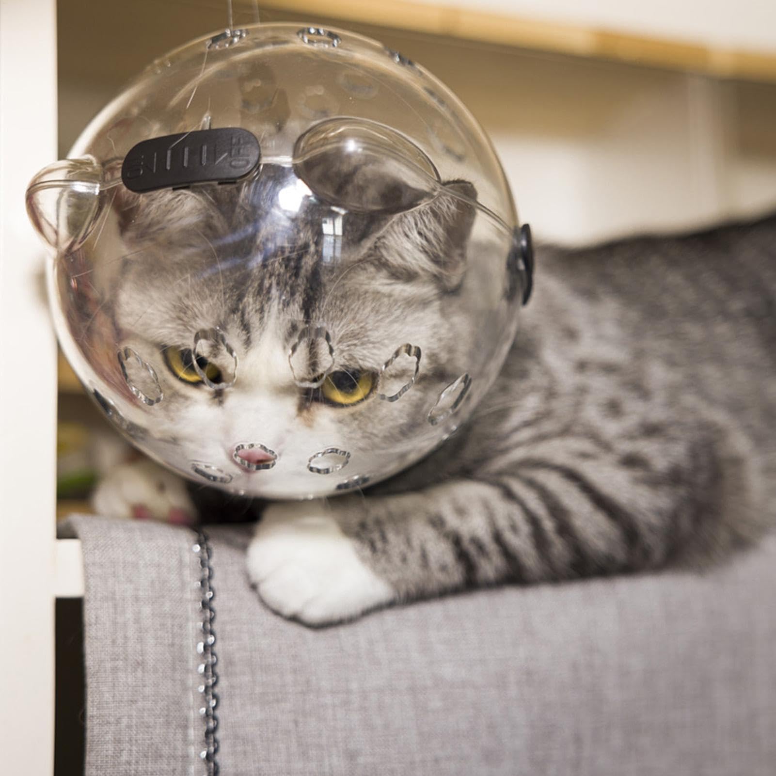 Cat Bubble Schnauze - Cat Ear Bubble Schnauze, Cat Grooming Head Cover | Anti Bite Cat Schnauze, Katzenzubehör, Katzenbäder Rasierschnauze, Atmungsaktiver Komfort, Katzenpflege-Werkzeug