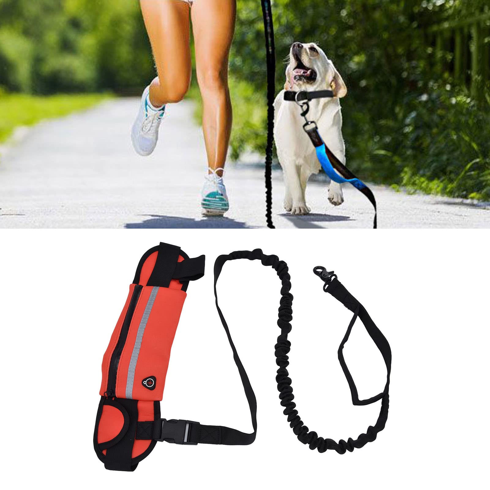 Cocoarm Guinzaglio per Cani a Mani Libere Striscia Riflettente Guinzaglio per Cani in Vita con Borsa con Cerniera Staccabile Tessuto per Immersione Poliestere 65 Fino a 115 Cm Regolabile per (rosso)