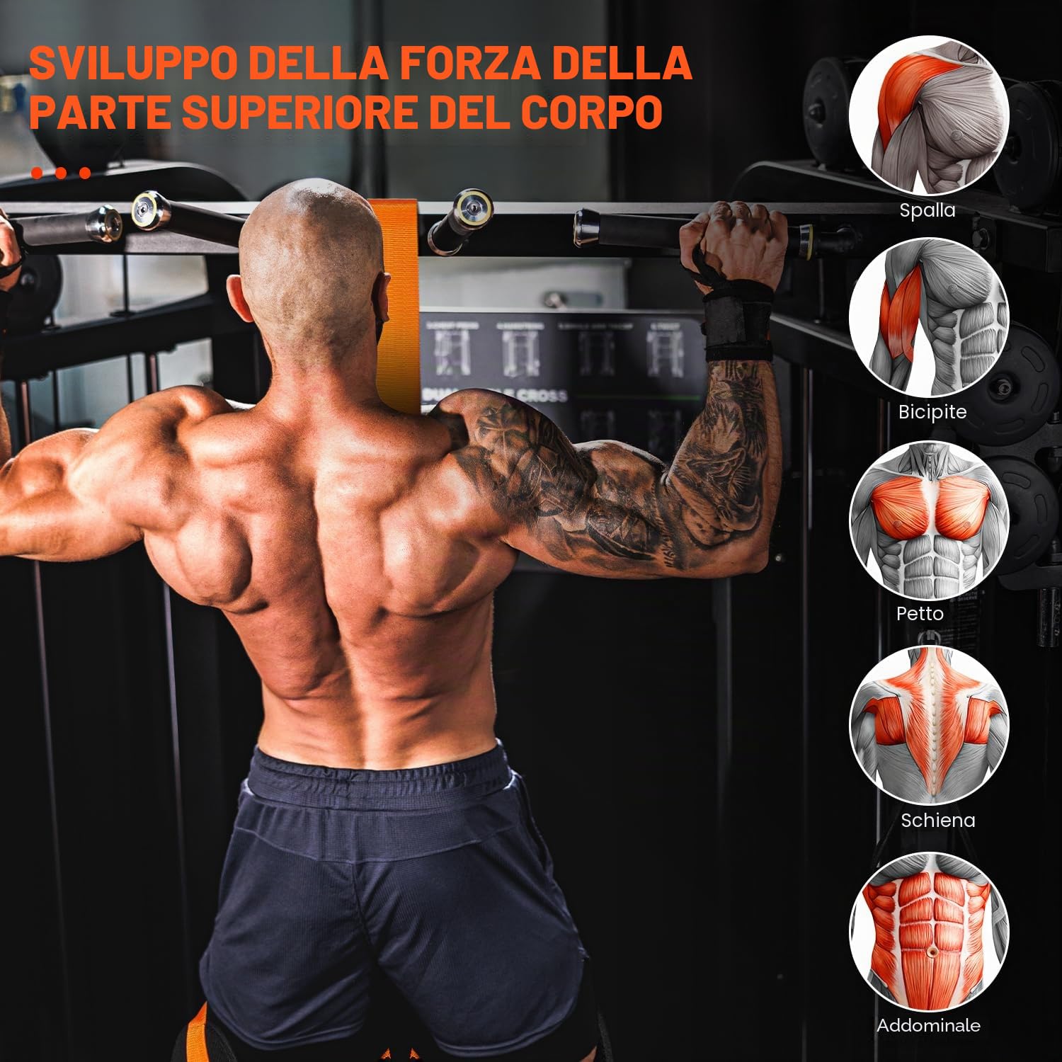 HPYGN Bande di assistenza per trazioni, resistente fascia di resistenza per barra per trazioni, peso/dimensione regolabile con piedini in tessuto/poggia ginocchia, fasce per pull up assist per
