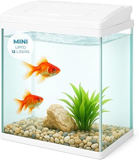 Buraq Mini Moulded Aquarium Fish Tank, Filter + LED + Lid Included, Beginner Aquarium for Small Fishes (Check Size Before ... Price In India