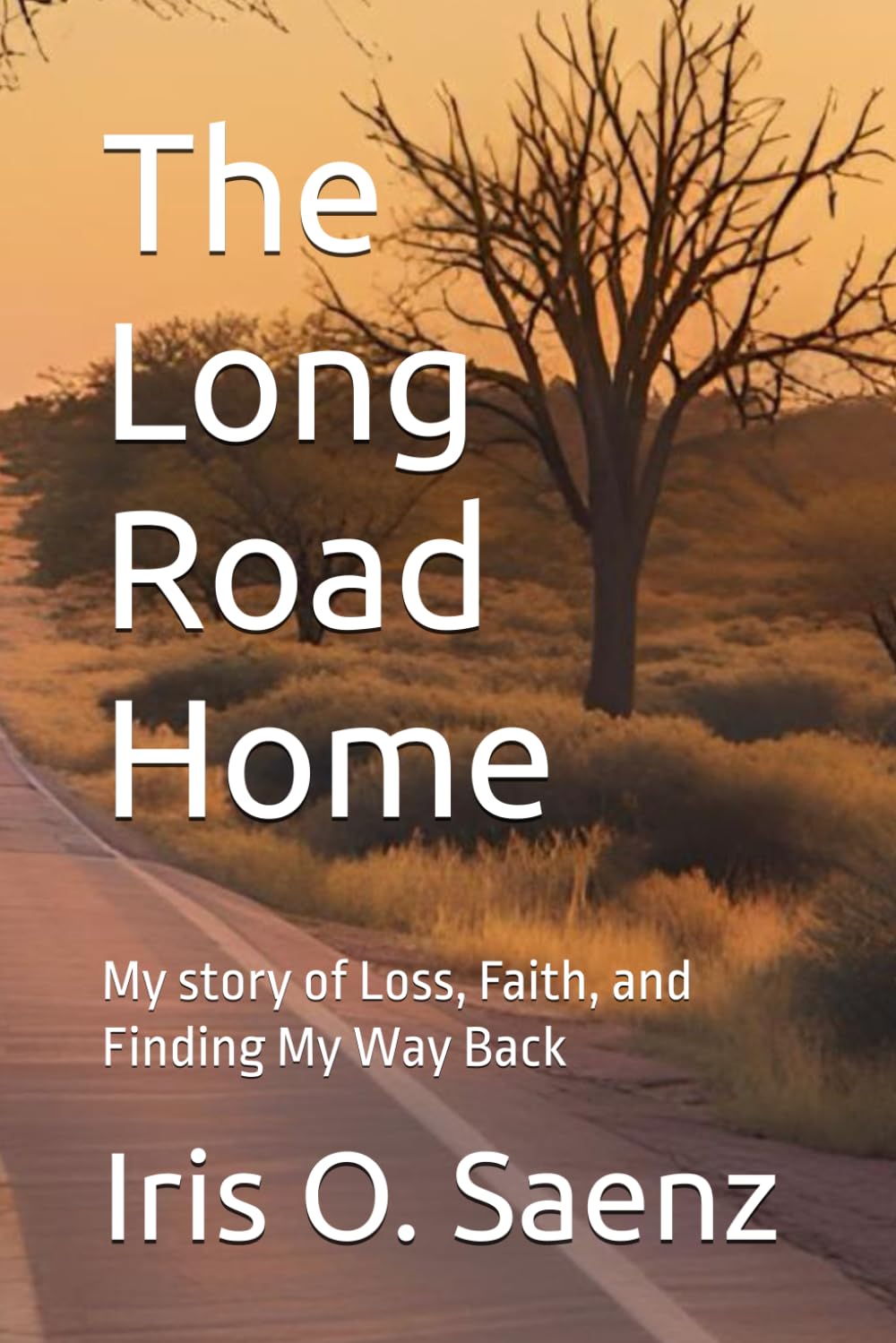 The Long Road Home: My story of Loss, Faith, and Finding My Way Back