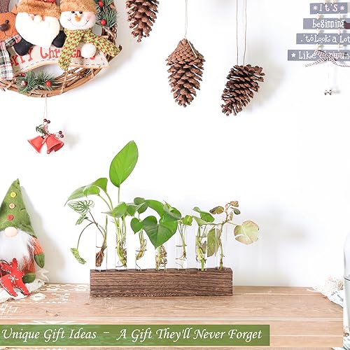 Miniatura 5 de KAXYEW Estación de Propagación de Plantas de Escritorio de Vidrio con Tubo de Ensayo, Terrario de Plantas en Soporte de Madera para Plantas