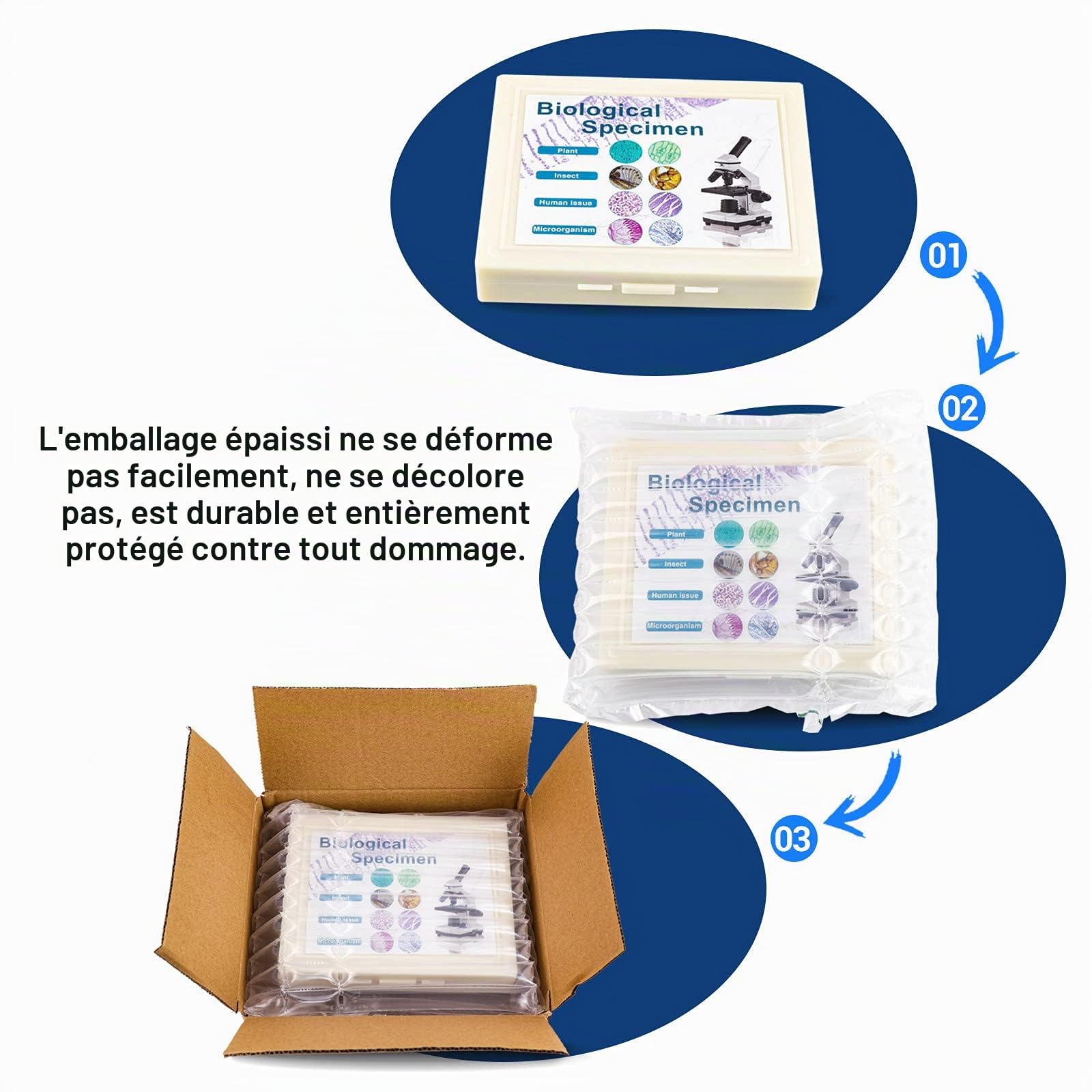 USCAMEL 100 Lames de Microscope préparées avec spécimens – Bactérie, Champignon, Tissus Humains, mitose, Plantes, Insectes, Animaux
