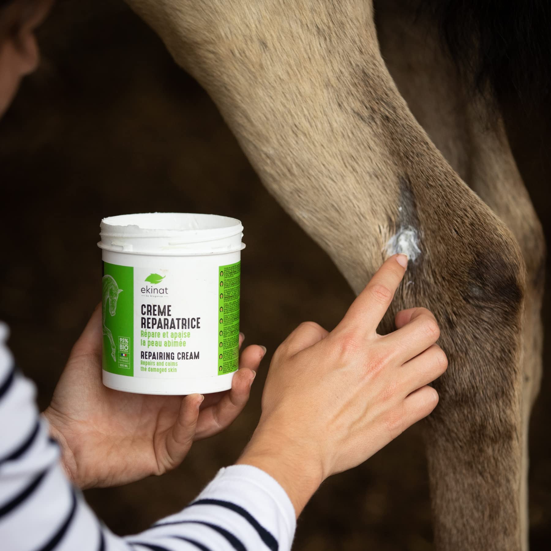 Crema reparadora para Caballos
