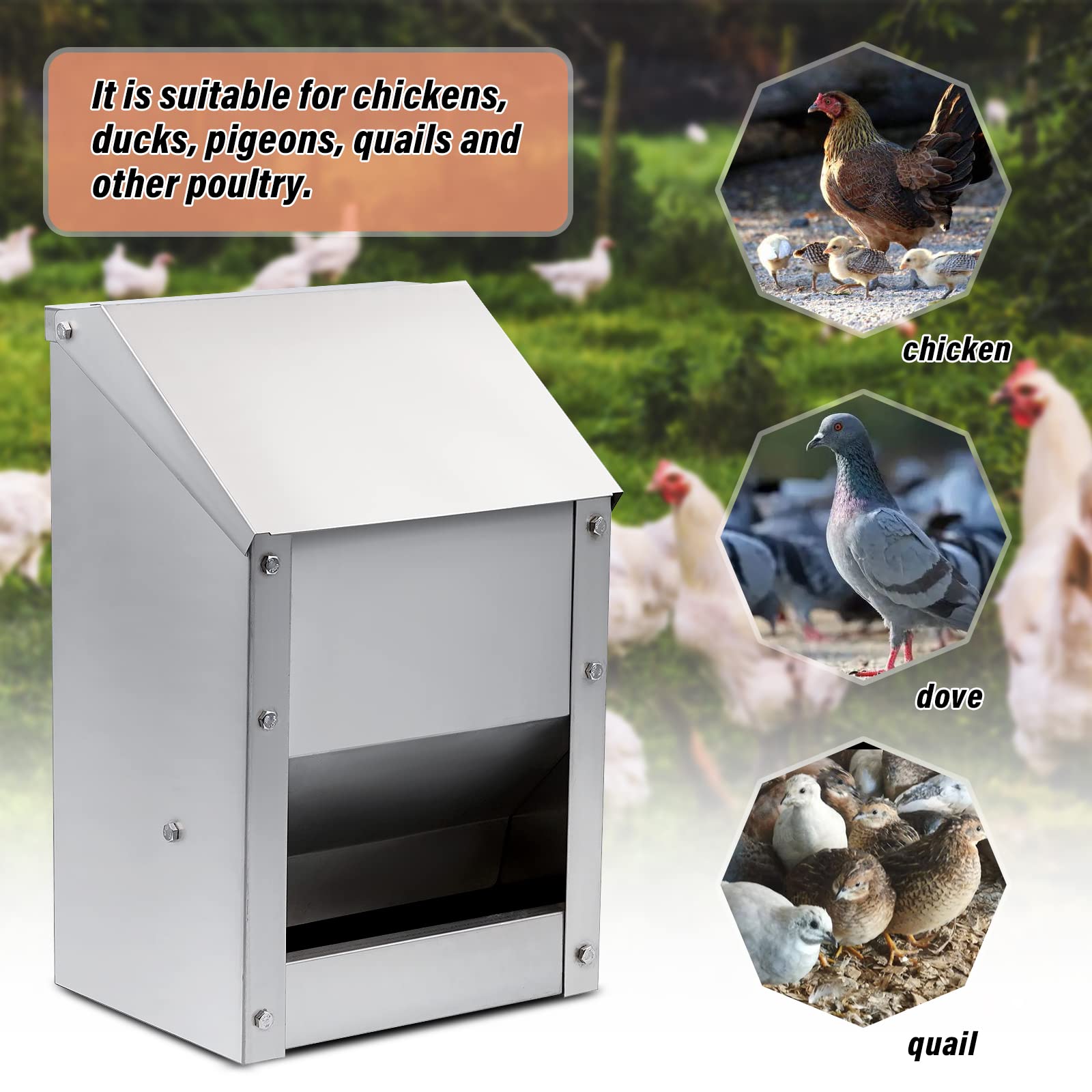 Comedero automático para aves de corral de acero inoxidable montado en la pared, con tapa, resistente a la intemperie, de metal, para aves de corral, comedero para gallineros (capacidad de 10