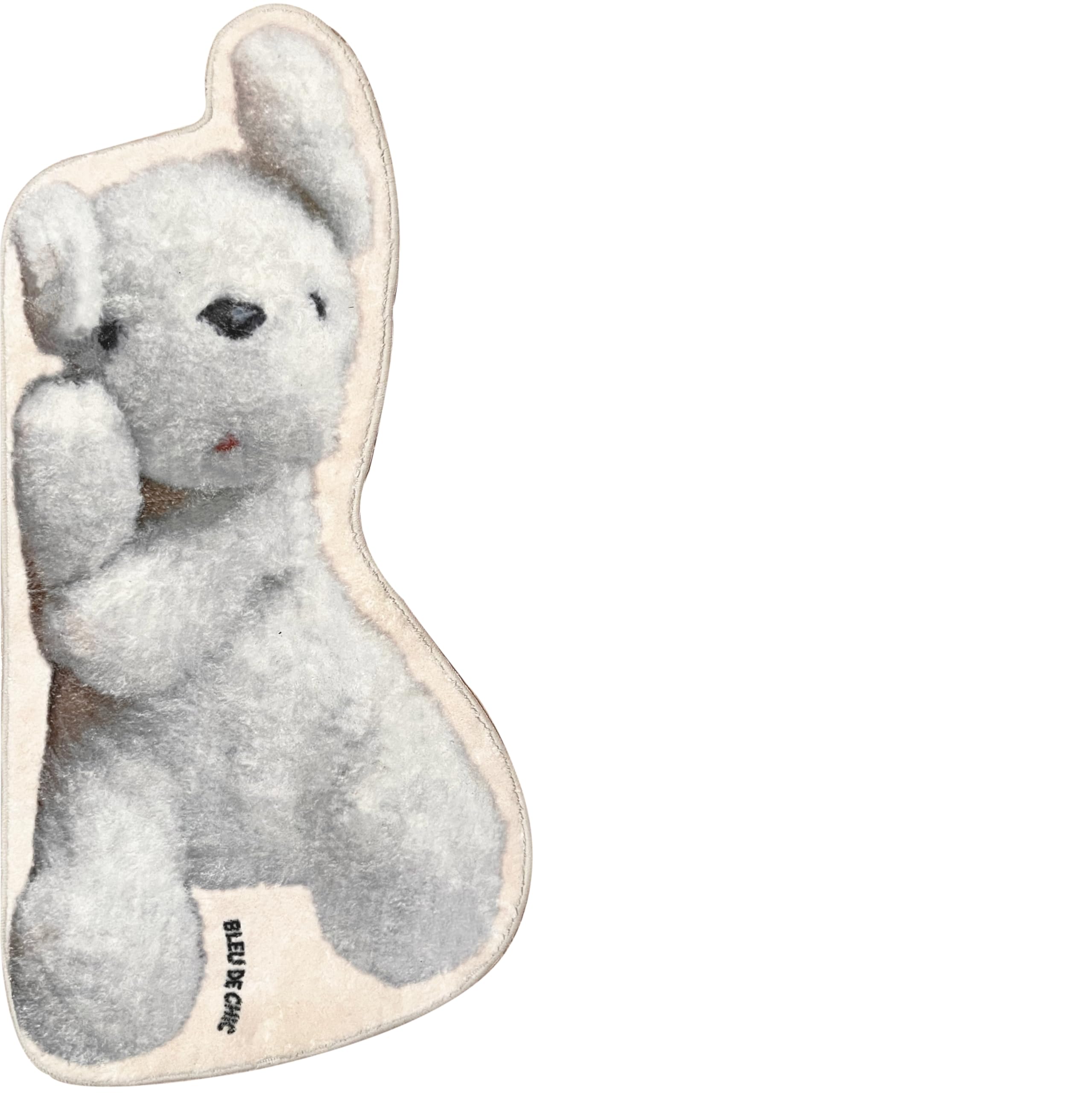 Peek-A-Boo Small Washable Fluffy Rug for Bedroom, Dorm Rug, Bath mats, Home Decor 15"x30" (Puppy)