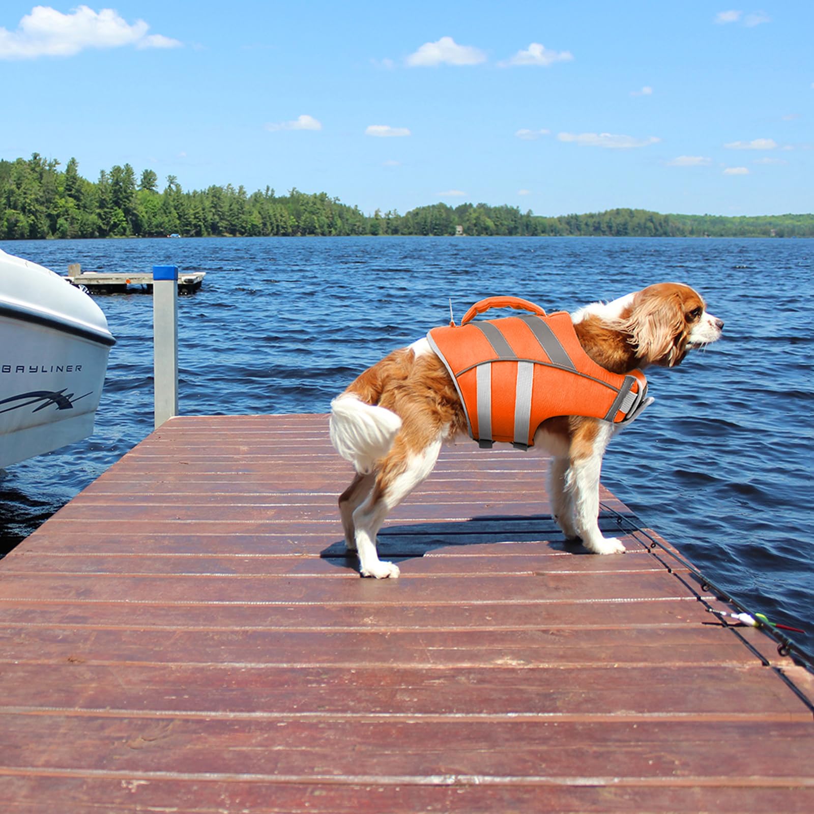 Kuoser Chaleco salvavidas para perros, chaleco salvavidas para perros de durabilidad, excelente flotabilidad, chaleco salvavidas para perros pequeños, grandes, mediano, de alta seguridad, chaleco