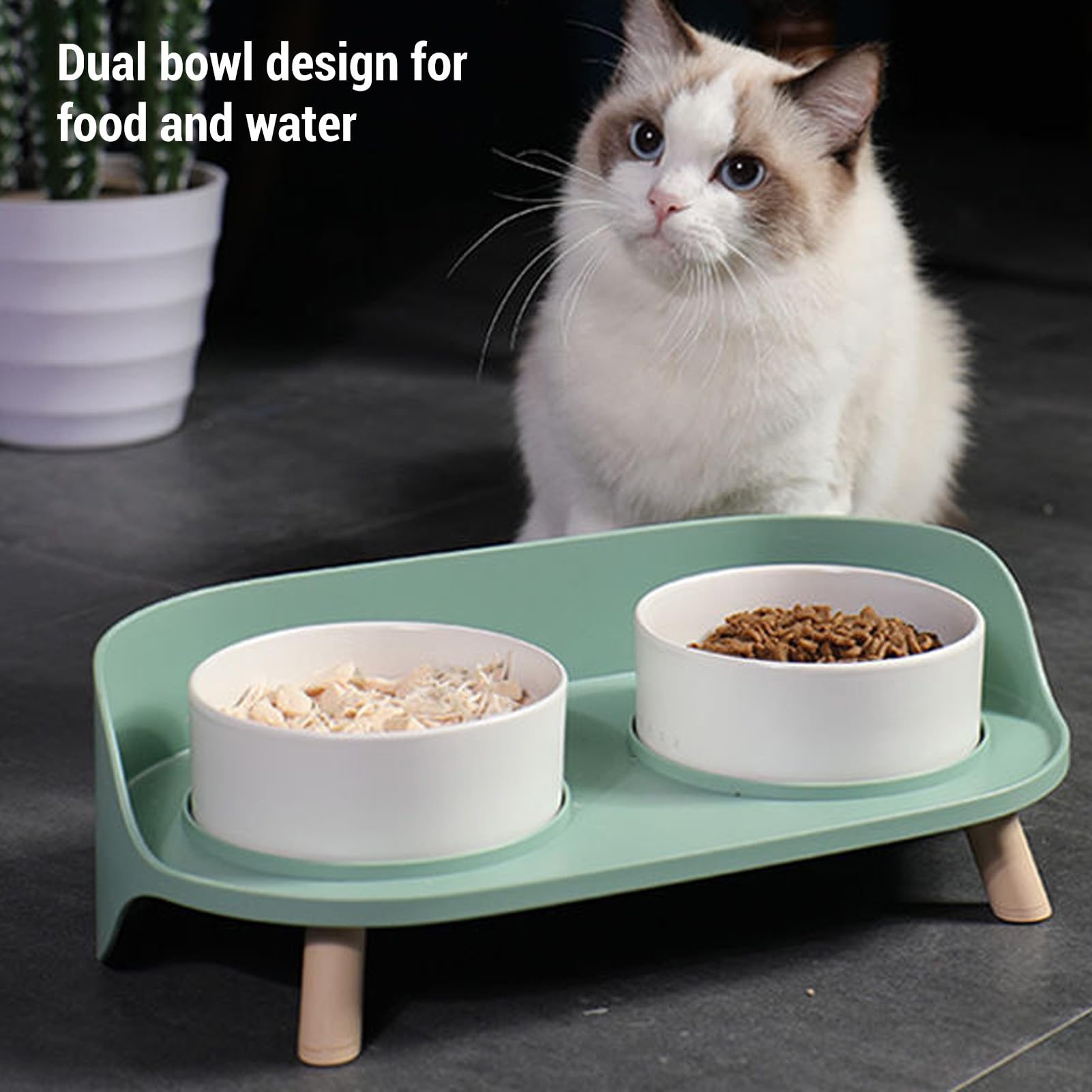 Gamelle surélevée pour Chat, gamelles surélevées en céramique pour Chat avec Support, Protection de la Colonne cervicale, Ensemble de gamelles pour Nourriture et Eau