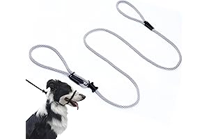Multifunctional Figure 8 Dog Leash Padded Head Halter Training Walking Figure 8 Slip Lead