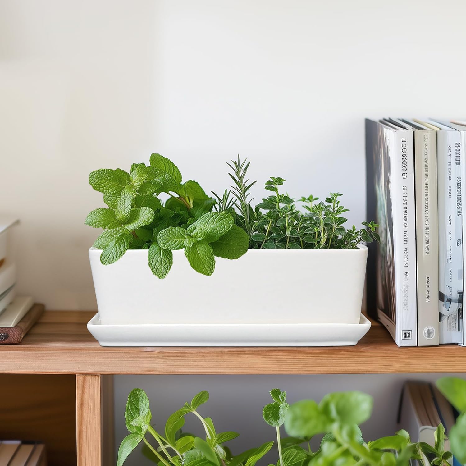 SQOWL Rectangular Planter - 10 Inch Ceramic Pots for Plants with Drainage Hole and Saucer, Succulent Pots for Indoor Outdoor, Cactus Herb Planter, Home Decor, Gifts for Plant Lovers, Glossy White
