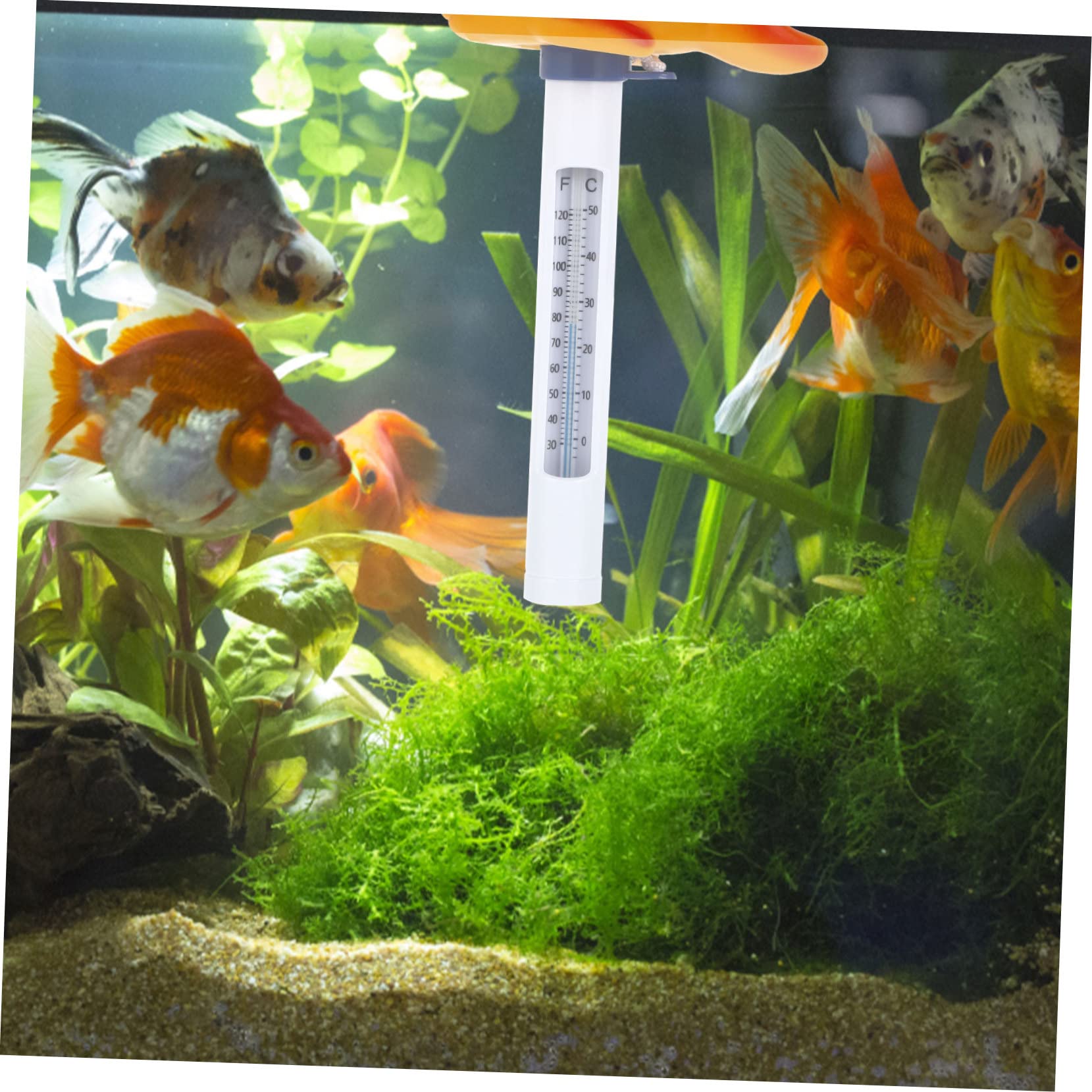 Sosoport 3pezzi Termometro Galleggiante Per Piscina Forma Di Pesce Misuratore Di Temperatura Per Piscine Vasche Da Bagno e Acquari Design Divertente e Adorabile Display Fahrenheit e Celsius