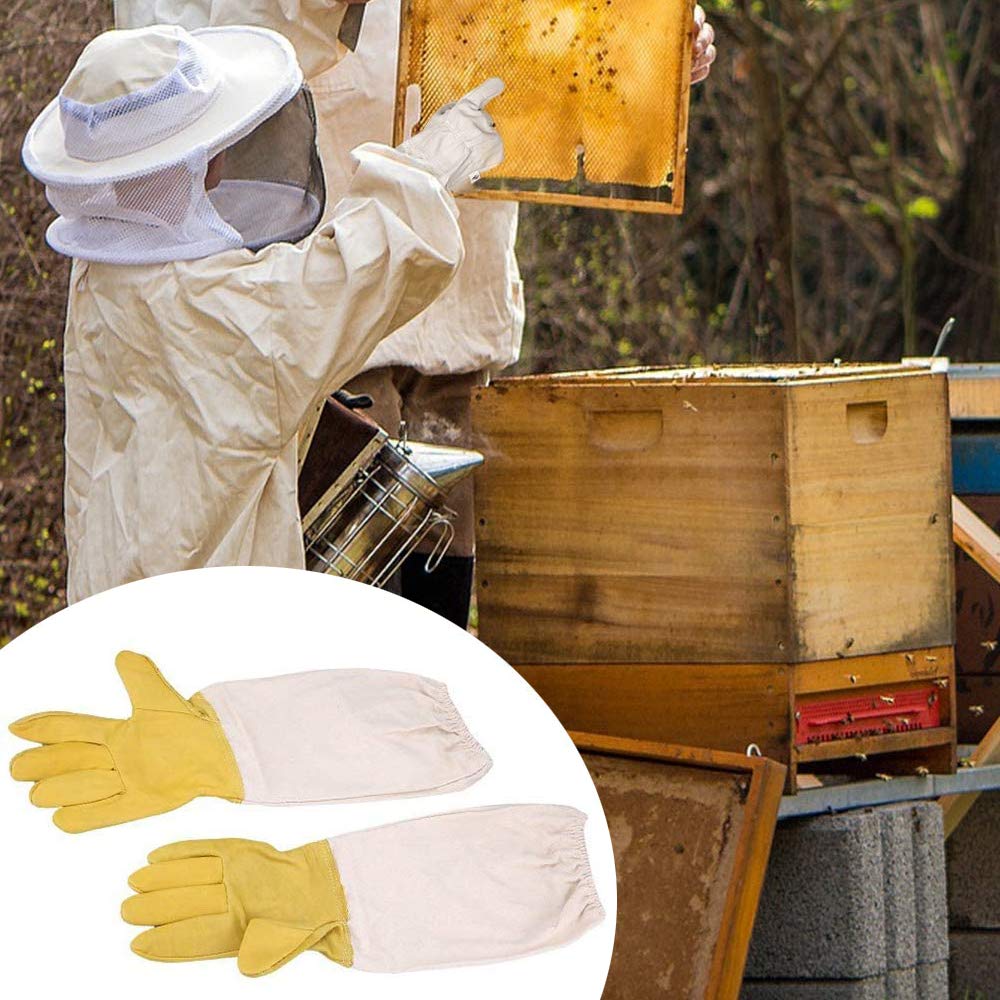 combinaison de protection pour l'apiculture pour enfants avec combinaisons de veste en voile - avec gants pour apiculture équipement de protection pour l'apiculture