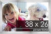 Vista 123 de Marco de 28 x 36 pulgadas de madera de peltre plateado con plexiglás acrílico UV, parte trasera de tablero de espuma y accesorios incluidos