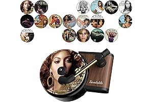 18PCS Savage Beyonce Car Air Fresheners