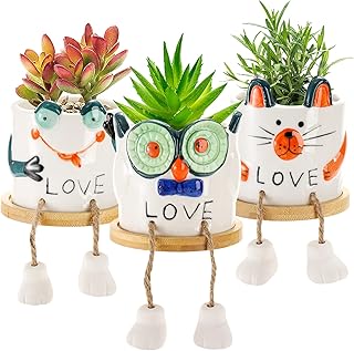 Lawei Ceramic Animal Succulent Planter Pot Set of 3, 3 Inch Mini Small Cactus Pots with Drainage and Bamboo Saucers, Flowerpots Planter Container Set for Indoor Home Office Desk, Plants Not Included