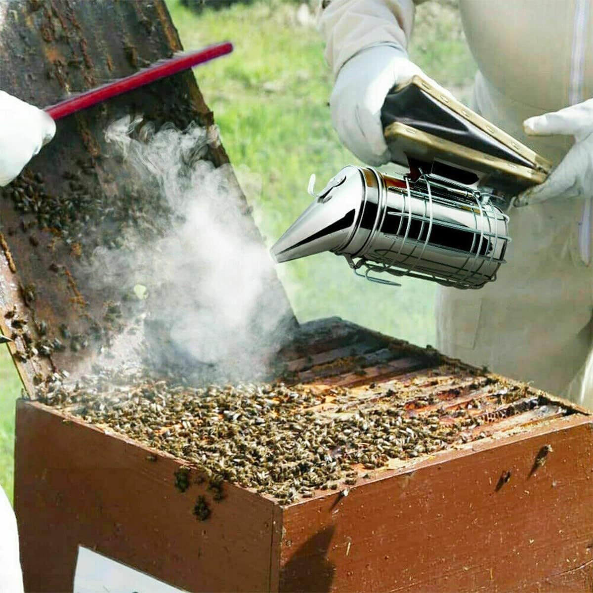 Kit de herramientas apicultura 10 uds, ahumador abejas acero inoxidable, cepillo, for colmena, elevador marco, juego suministros for apicultores for principiantes