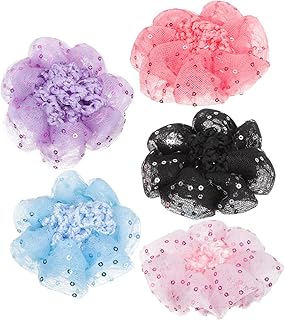minkissy 5 Pçs Acessórios De Cabelo De Balé Rede De Coque De Balé Cobertura De Coque De Cabelo Acessórios De Cabelo Para Meninas Acessórios De Cabelo Tiara Cobertura De Coque De Cabelo