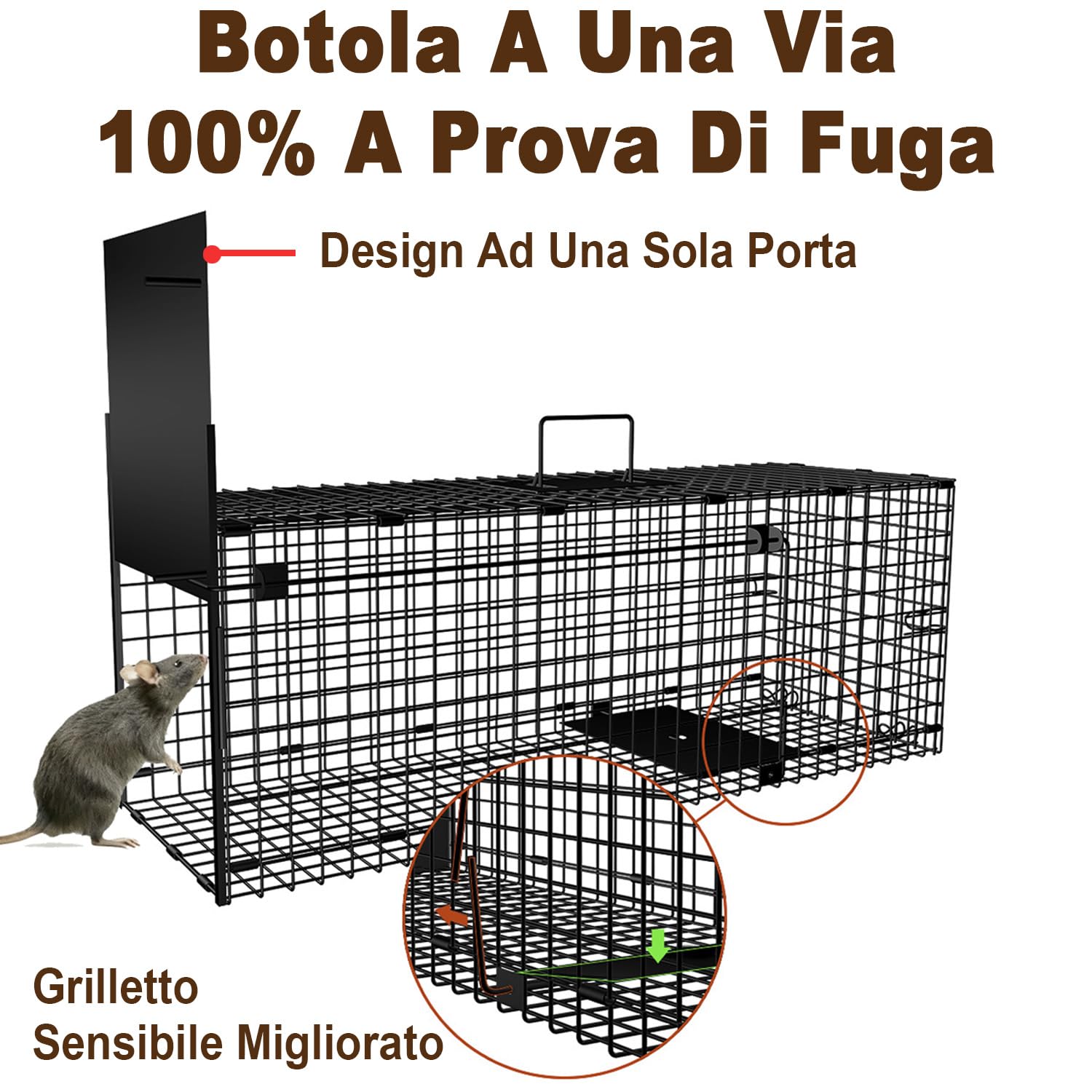 Amagabeli Trappola per topi Animali vivi Gabbia grandi dimensioni per la cattura di topi arvicole criceti ecc in ambienti interni ed esterni Ingressi con Sportello A Caduta