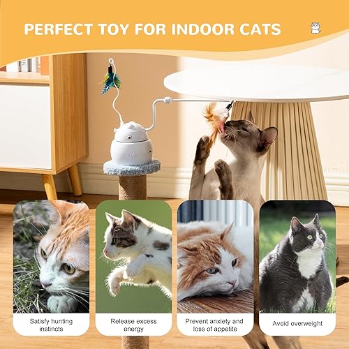 Miniatura 6 de SEECLOUD Juguetes interactivos automáticos para gatos, 4 en 1, recargable, láser, para interiores, 2 plumas y cubierta, juguetes para gatos para