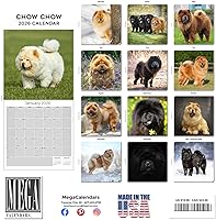 Vista 300 de Razas de Perros 2017