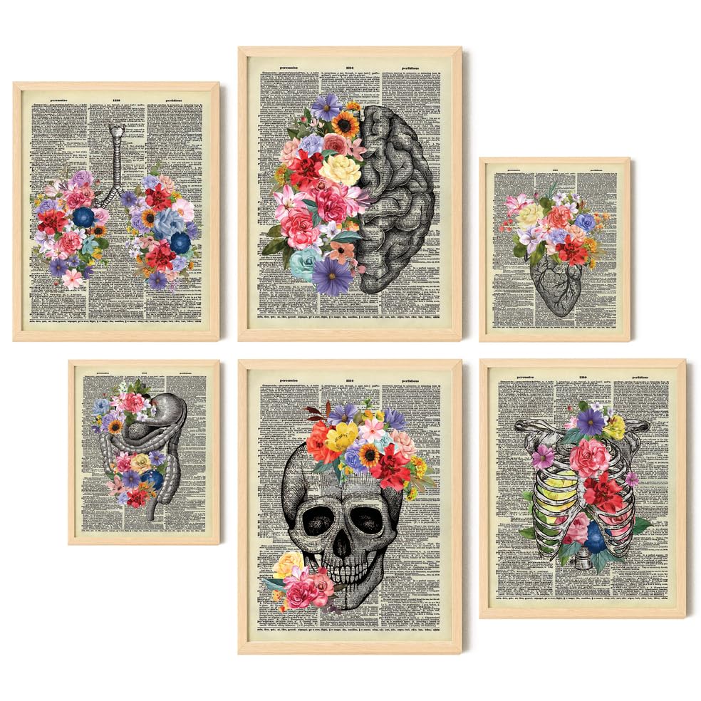 EXCOOL CLUB Vintage Floral Anatomy Posters – 12×16 Medical Office Decor, Skeleton Anatomy Art Prints, Brain Anatomical Heart Picture Skull Painting, Human Skeleton Wall Decor for Doctor (UNFRAMED)