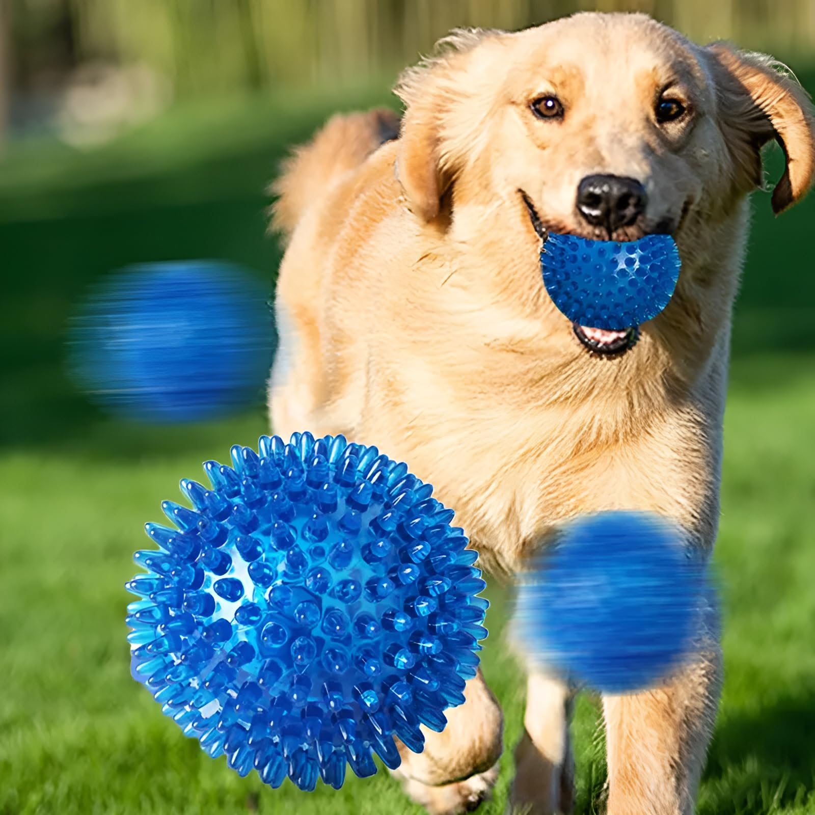 Befrenetic 6 Pcs Squeaky Dog Ball, Spiky Dog Ball, Dog Squeaky Balls - Image 4