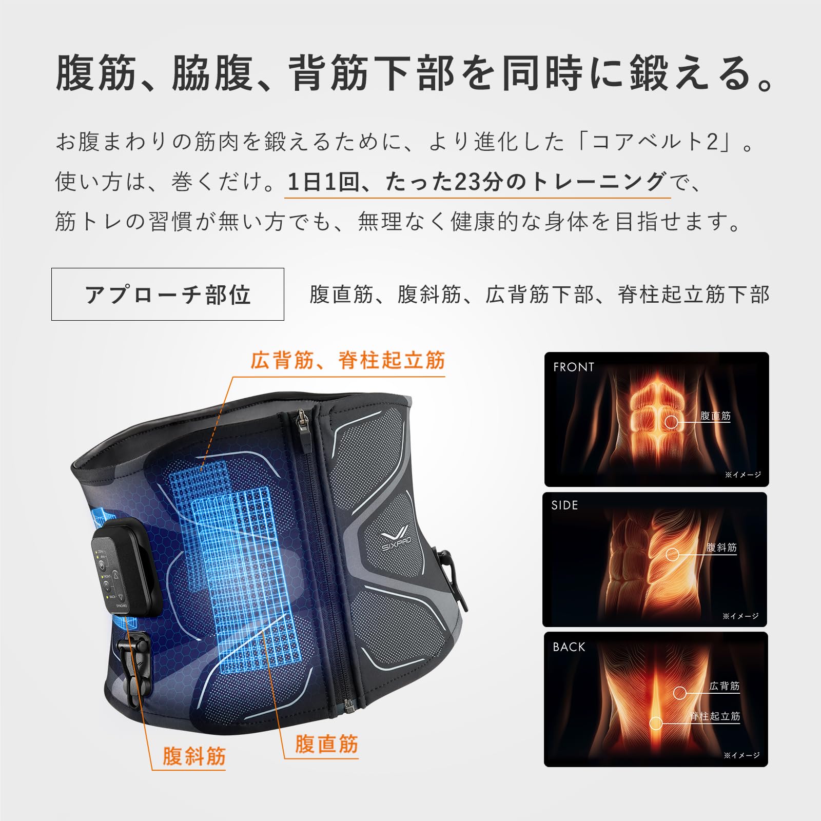 New Model [Official Store Exclusive] Six Pad Core Belt 2/SIXPAD