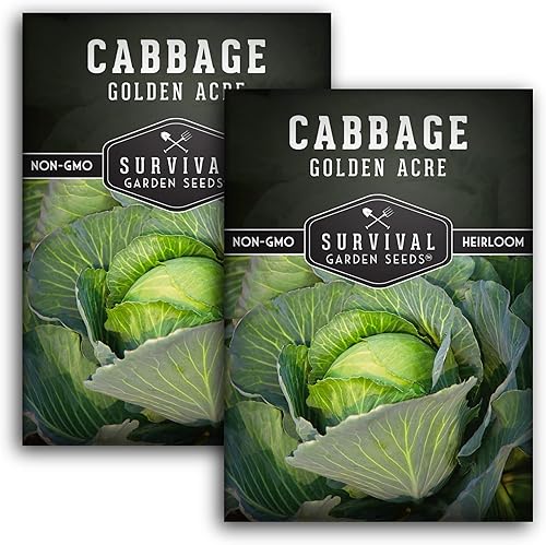Survival Garden Seeds - Semilla de col verde Golden Acres - 2 paquetes con instrucciones para plantar y cultivar repollos de color amarillo y blanco disponible en Yaxa El Salvador
