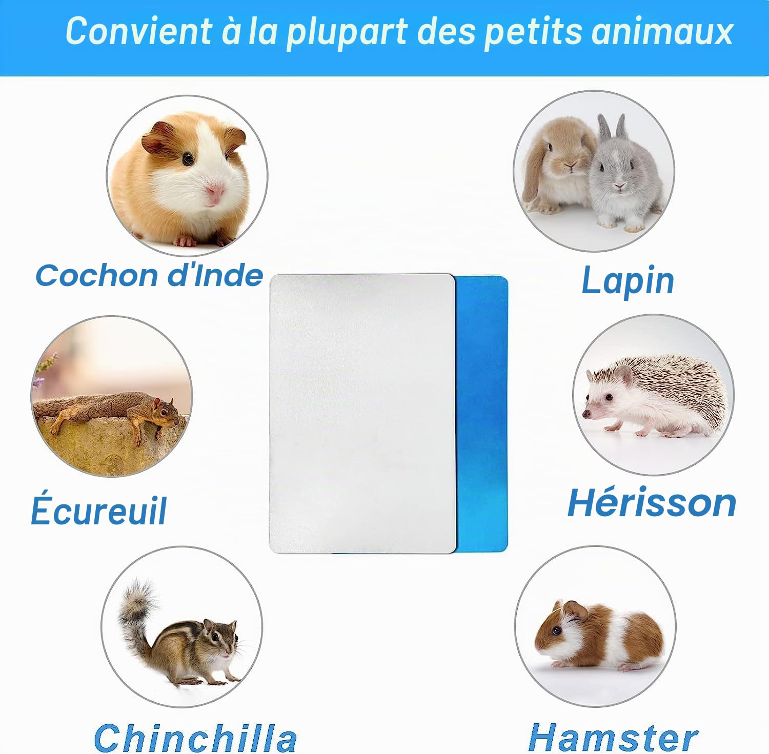Coussin rafraîchissant pour lapins, coussin de refroidissement pour animaux de compagnie, plaque de refroidissement en alliage d'aluminium, pour cochon d'Inde, hamster, lapin, etc. (300 x 200