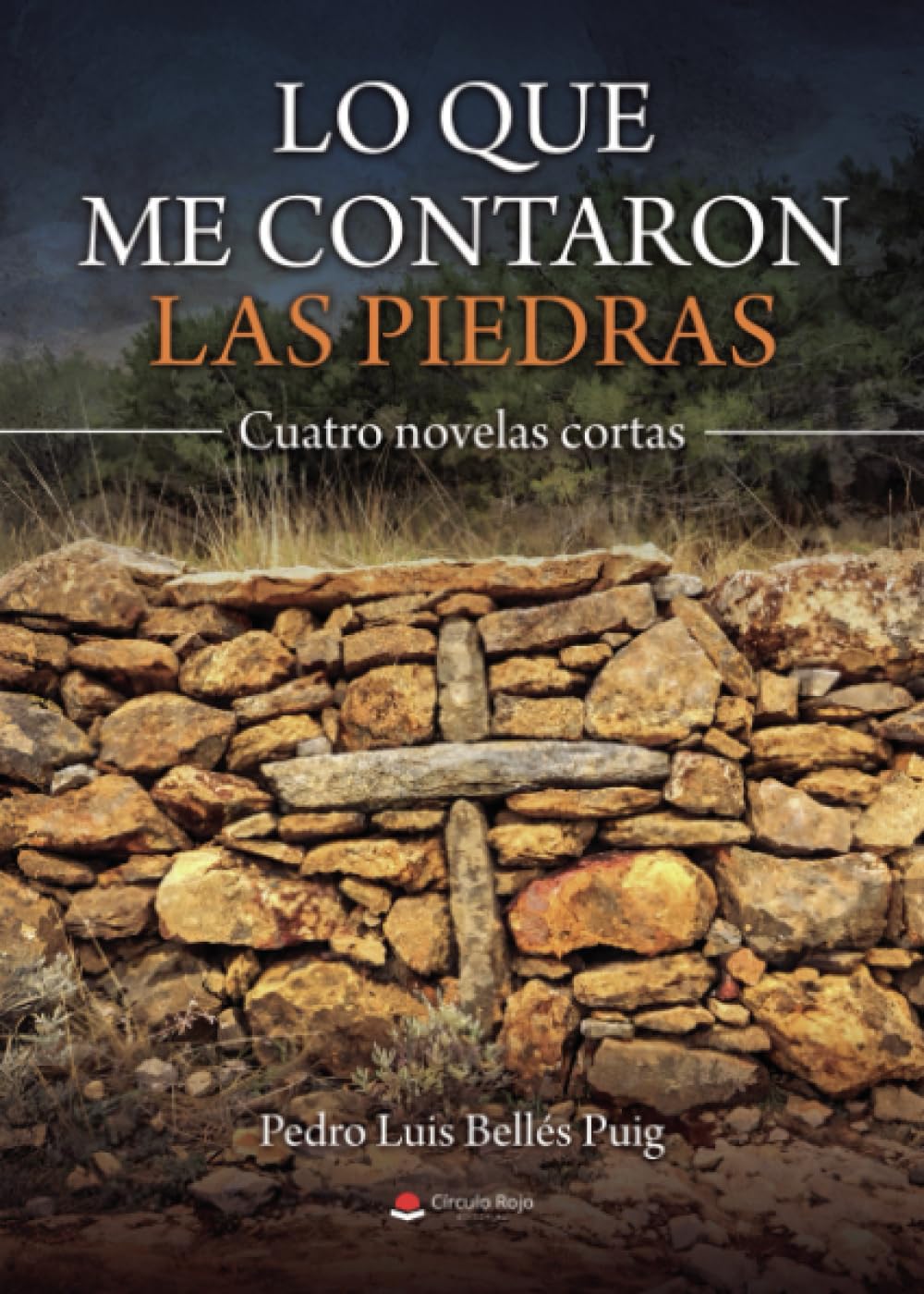Lo que me contaron las piedras