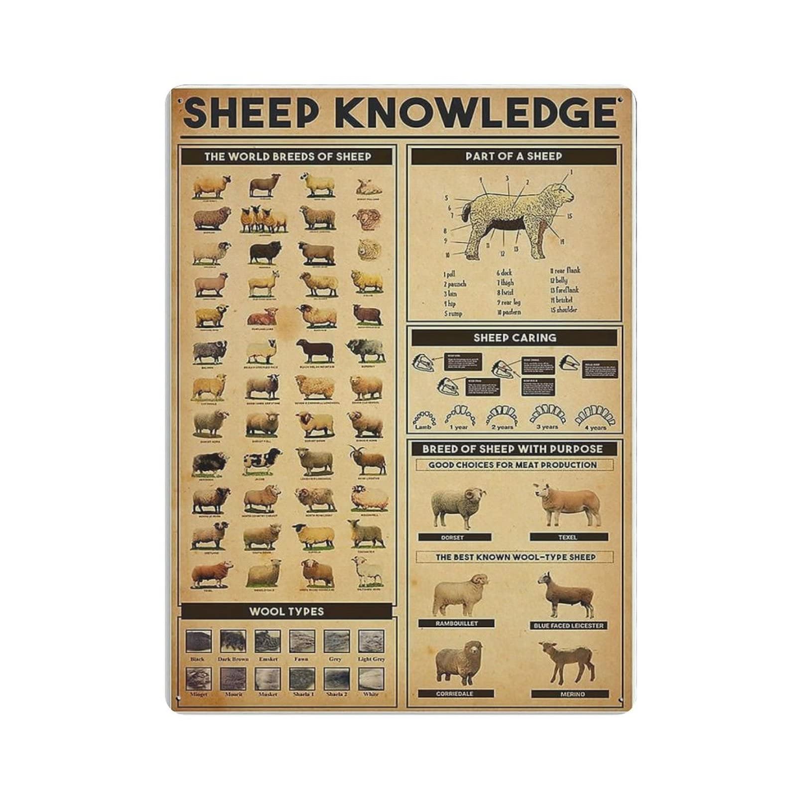 Hdadwy Men's Sheep Knowledge Poster Metal Tin Sign Art Wall Plaque Decor Vintage Retro Sign Iron Painting Aluminum Sign For Home Decor Bar Shop Cave Outdoor Garage Indoor 16"X12"