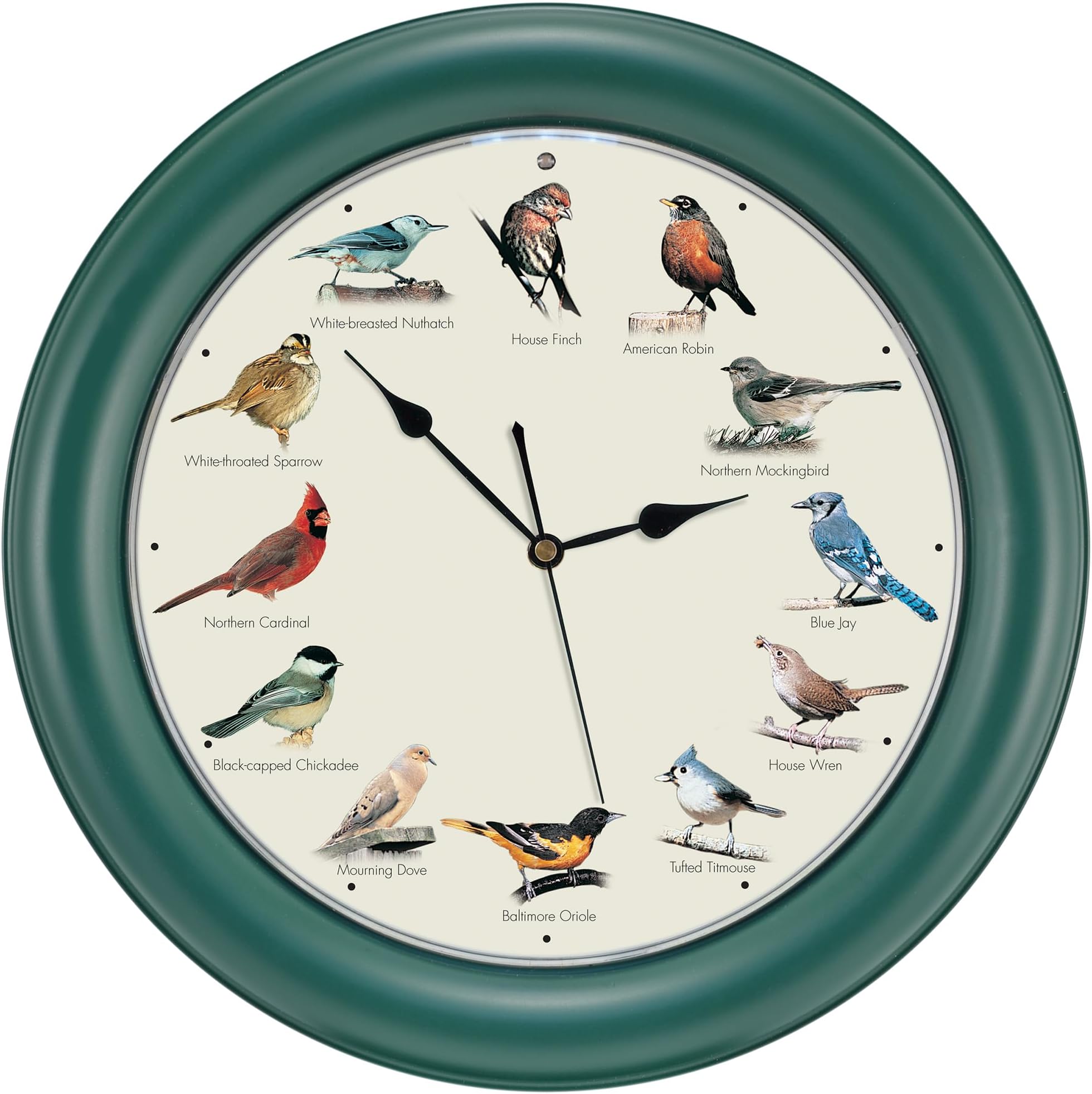 Mark Feldstein, The Original Singing Bird Clock, 10.7 Inch, Green