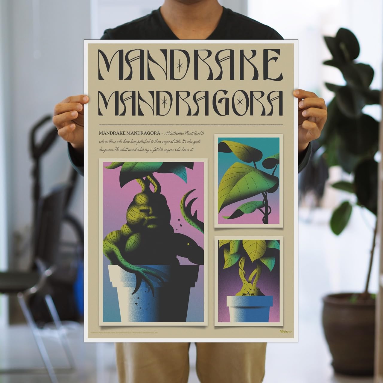 Amazon.com: MIGHTYPRINT Harry Potter – Mandrake Mandragora