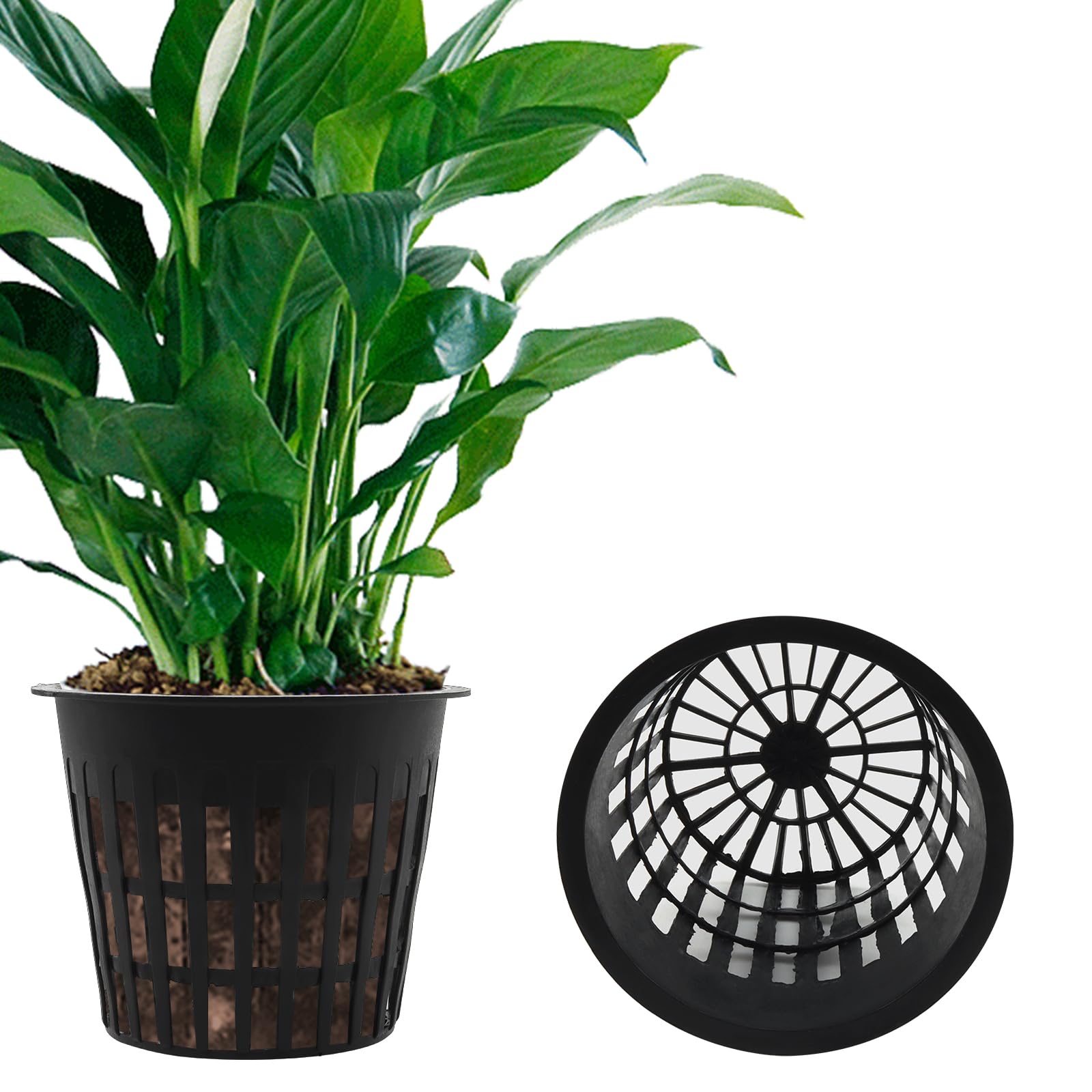 FUBESK Set di 50 vasi idroponici a rete, vaso , vaso da giardino in plastica, cubi con vasi a rete per , acquaponica, coltivazione, giardino verticale